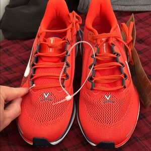 Nike air zoom Pegasus 41 (Virginia) size 10 comes with no box